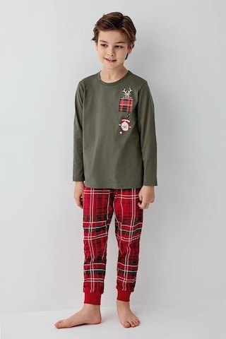 Arnetta 3513 Erkek Uzun Kollu Bisiklet Yaka Pijama Takımı-yeşil Yesil