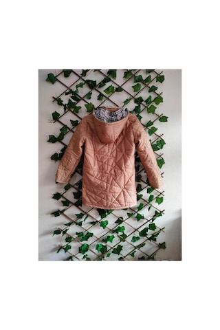 Çınar Boutique Kapitone Mont Nohut Nohut