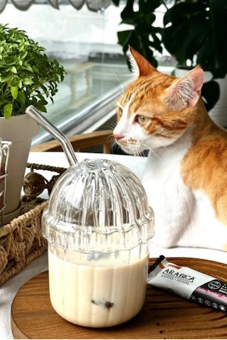 Mika Sert Plastik Kahve Bardağı Ve Frozen Meşrubat Bardağı Cam Pipet Hediyeli 430 Ml. Şeffaf