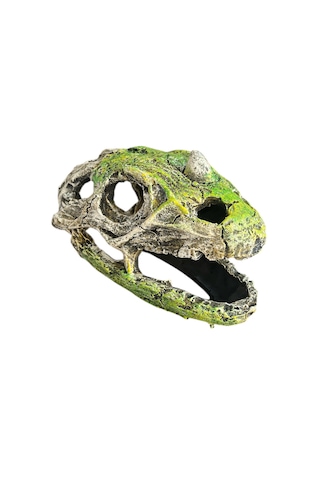 Dinazor Kafası Akvaryum Dekoru Büyük Boy