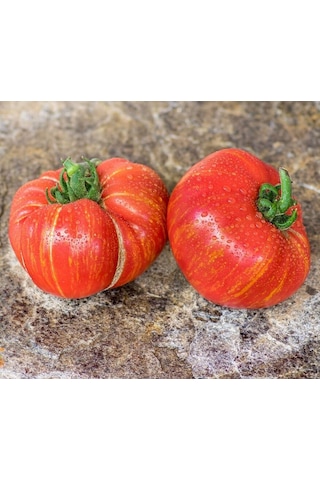 Maiden Fire Etli Beef Domates Tohumu 10 Tohum
