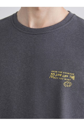 Lcw Eco Antrasit Bisiklet Yaka Baskılı Erkek Sweatshirt