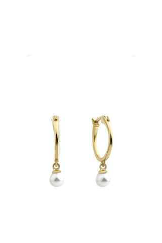 Kadın Halka İnci Küpe Gold