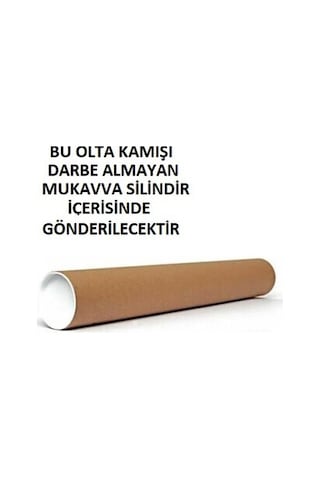 Okuma Azaki Spin 274 CM 12-35 Gr 2 Parça Spin Olta Kamışı