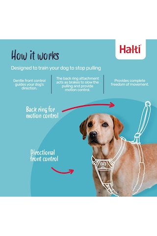 No Pull Yemek Takımı Ve Antrenman Tasması Kombi Paket, Stop Dog Pulling On Walks With Halti, Includes Medium Halti No