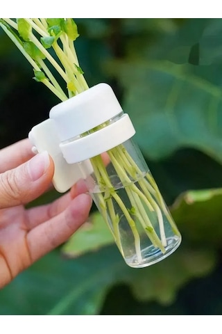 Ximistore9 Kuşlar İçin Taze Sebze Saklama Ve Besleme Aleti - Su Beslemeli Plastik Muhafaza Kabı Beyaz