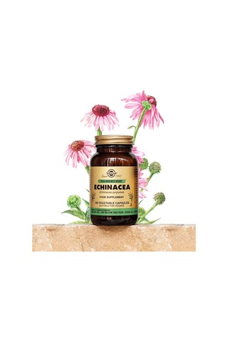 Solgar Echinacea Takviye Edici Gıda 520 MG 100 Kapsül 2 Adet
