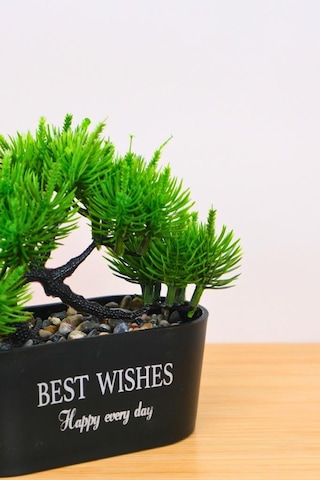 Digithome Dekoratif Kayık Saksılı Yapay Çam Ağacı Bonsai Siyah 16cm Eva-5829 C1-1-423