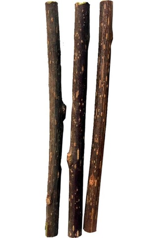 Matatabi Cats Stick Small 3'lü Doğal Çiğneme Çubuğu Kedi Oyuncağı 12 CM