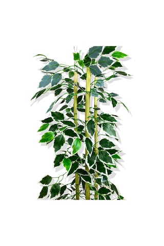 Cihan Çiçekçilik Yapay Yapraklı Fıcus 3 Bambu'lu 110 Cm Beyaz- Yeşil