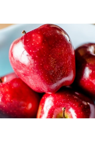 Tüplü Aşılı Tam Bodur Red Miracle Kırmızı Mucize Elma Fidanı