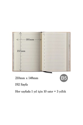 Apica B5 10 Yıllık Günlük D313 Bej