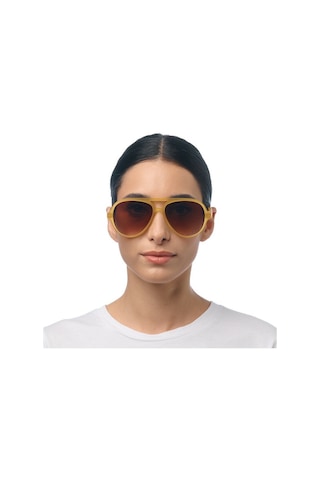 Okkia Alessio Unisex Güneş Gözlüğütransparan Sarı / Lens: Kahverengi Degrade Sarı