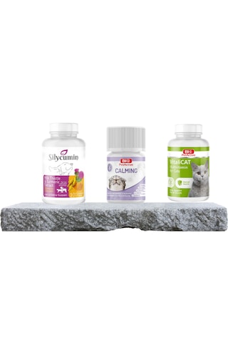 Purecanpati Kedi Vitamin Destek Seti