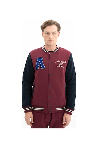 Arma Erkek Şık Tarz Cepli Regular Fit Düğme Kapamalı Kolej Mont Sweatshirt 001