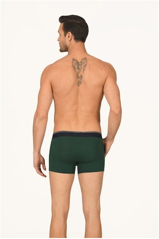 NBB Erkek Yeşil Penye Boxer