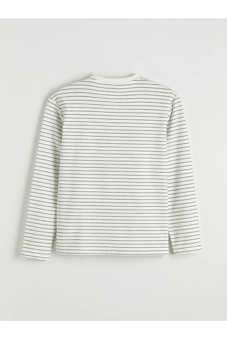 Lc Waikiki Ekru Bisiklet Yaka Çizgili Erkek Sweatshirt