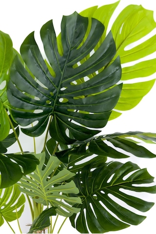 Biçiçek Yapay Monstera Ağacı Deve Tabani 150 Cm Geoi̇t Hasir Saksıda