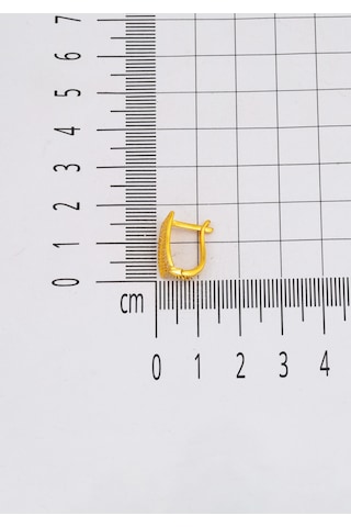 Bilezikci 14 Ayar Altın Hasır Model Küpe Sarı Altın