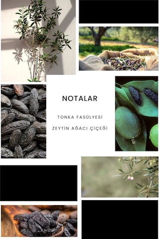 Ixora E163 Black Day Erkek Parfüm EDP 50 ML