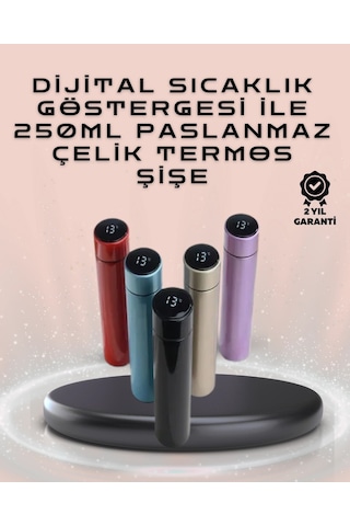 250ml Led Ekranlı Paslanmaz Çelik Akıllı Termos Rekli