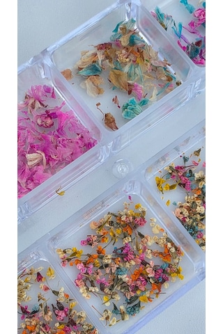 12li İnce Küçük Boy Kuru Çiçek Tırnak Süsleme Nail Art Çiçek Wn-519