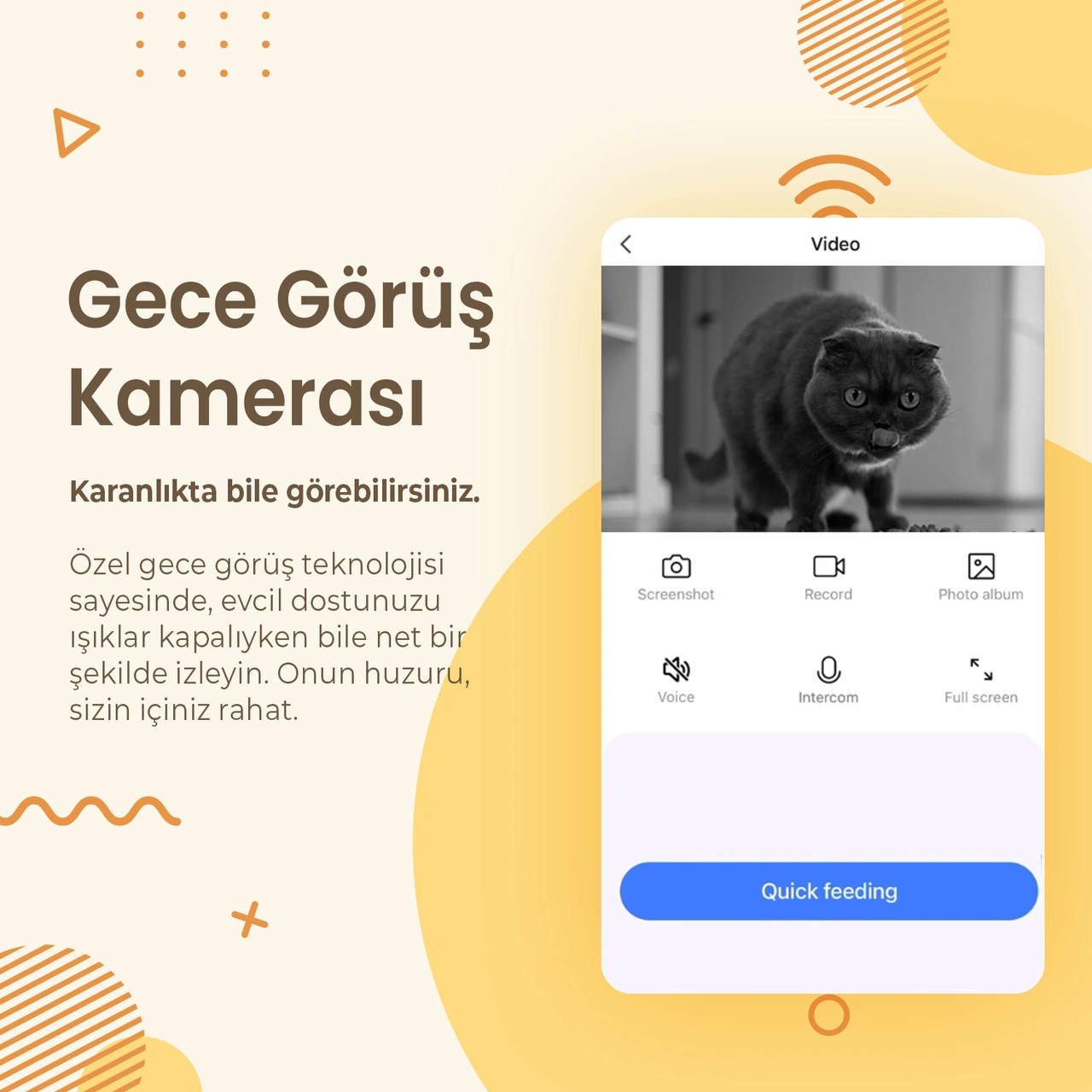 Haustier Qq005-d Kameralı Akıllı Kedi Köpek Otomatik Mama Kabı