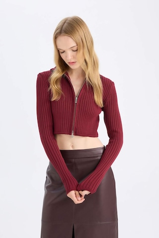 Defacto Coool Yarım Balıkçı Yaka Fermuarlı Triko Hırka B2558AX24AUBR415 Bordo