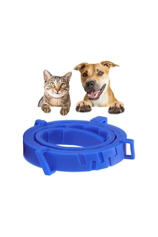 Mucit Home Köpek Pire Ve Bit Kovucu Engelleyeci Tasma Boyunluk 62 Cm Çok Renkli