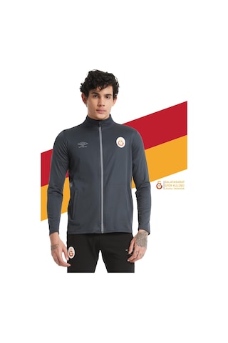 Gsstore Galatasaray Lisanslı Dik Yaka Fermuarlı Antrasit Sweat Gs Aslan Baskılı Hediyelik Ahşap Kutulu Antrasit