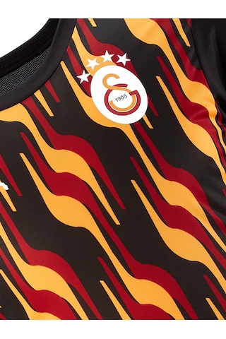 Galatasaray Puma A Takım Antrenman T-shirt 77969312