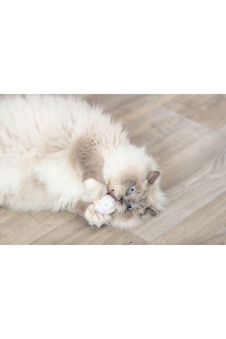 Trixie - 47 - Kedi Oyuncağı, Dondurma Ve Kek Şeklinde, Peluş, - Hcctrend - Kediotlu 7cm