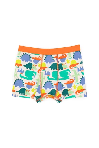 U.S. Polo Assn. Erkek Çocuk 3'lü Boxer Takım 50319387-VR036