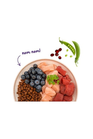 Sanabelle Life Adult Devekuşlu & Yaban Mersinli Kuru Kedi Maması 400 Gr