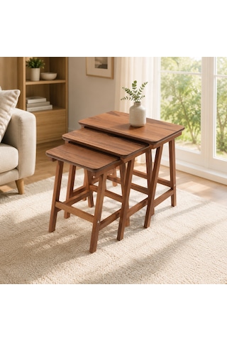 Ganni Home Alvis Zigon Sehpa Ceviz Ceviz Ahşap İskeletli Modern 3 Lü Sehpa Seti