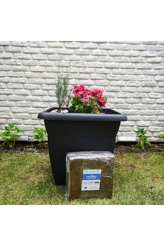 Biorfe Premium Cocopeat 5 Kg Sıkıştırılmış Hindistan Cevizi Torfu