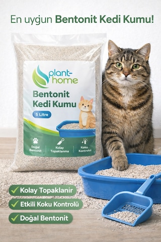 Bentonit Kedi Kumu 5 Litre Doğal, Kolay Topaklanan, Etkili Koku Kontrollü