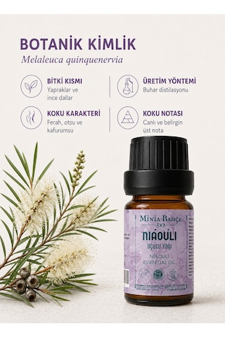 Minia Bahçe Bitki Ve Sanat Atölyesi Nioli Uçucu Yağı Saf ve Katkısız Bitkisel Uçucu Yağ 10 ML