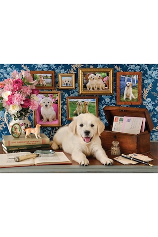 Anatolian 500 Parçalık Puzzle - Labrador 3637
