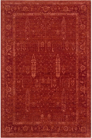 Shiraz Shr 03 Red Vintage Eskitme Tarzı Yumuşak Dokulu Salon Halısı Oturma Odası Halısı Kırmızı