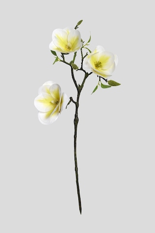 Beyaz Yapay Manolya Çiçeği 3 Dallı Premium Canlı Islak Dokulu 52 Cm