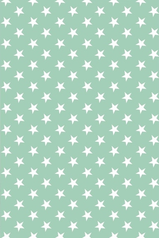 Premier Home Yıldız Desenli Fon Perde Mint 170X270 (472220920)