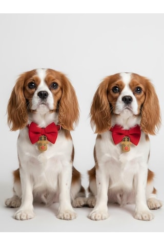 Yılbaşı Geyiği Küçük Irk Köpek Papyon Tasması Kırmızı Fiyonk Boyun Aksesuarı Noel Temalı Köpek Süsü
