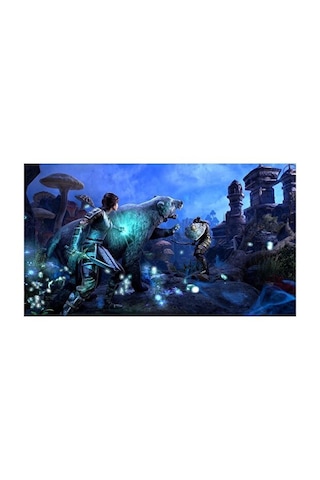The Elder Scrolls Online Playstation 4 Oyun Cd