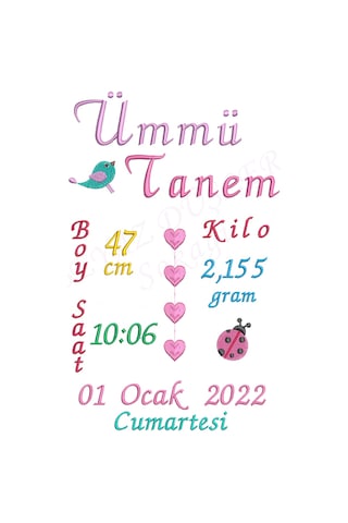 Kişiye Özel Nakişli Bebek Doğum Yastığı