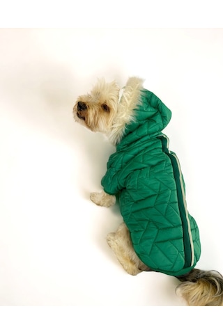 Luxy Green Köpek Montu, Köpek Ceketi, Köpek Dış Giyim