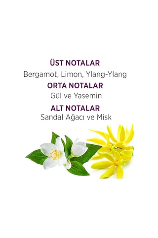 Bellissima Kadın Parfüm EDT 60 ML