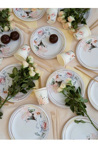 Albeta 20 Kişilik Düğün Parti İçin Tek Kullanımlık Sofra Takımı 258021205 100 adet