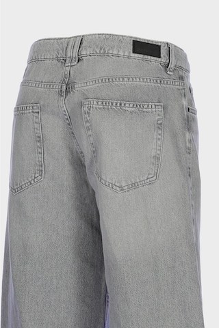 Weslie Gri Normal Bel Wideleg Patı Fermuarlı Jean Pantolon C 4530-209 Gri