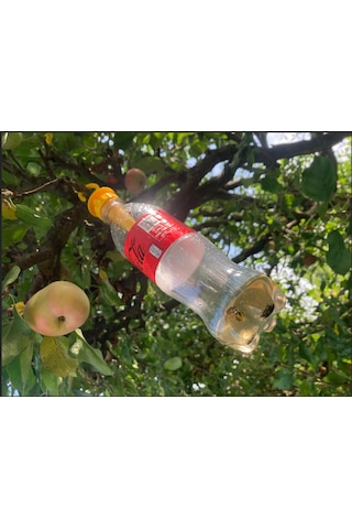 Yaban Arısı Kapanı Aparatı Pet Şişe Uyumlu Asılabilir Tuzak ...